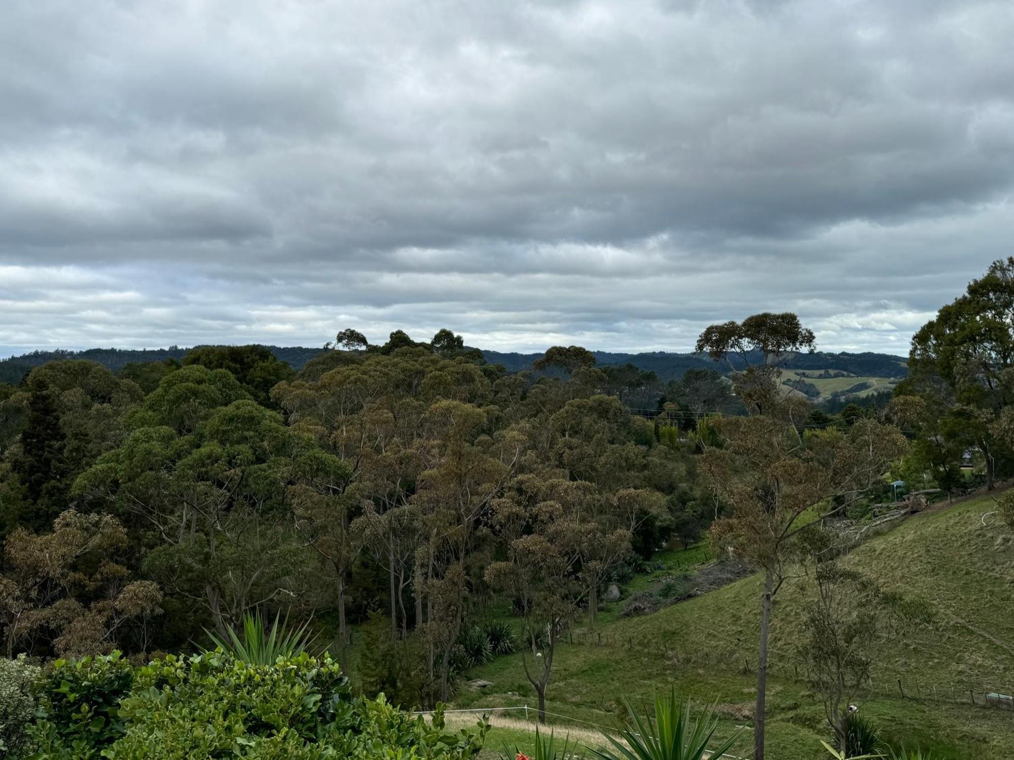 Private Cabin Close To The City Centre Whangarei Bagian luar foto