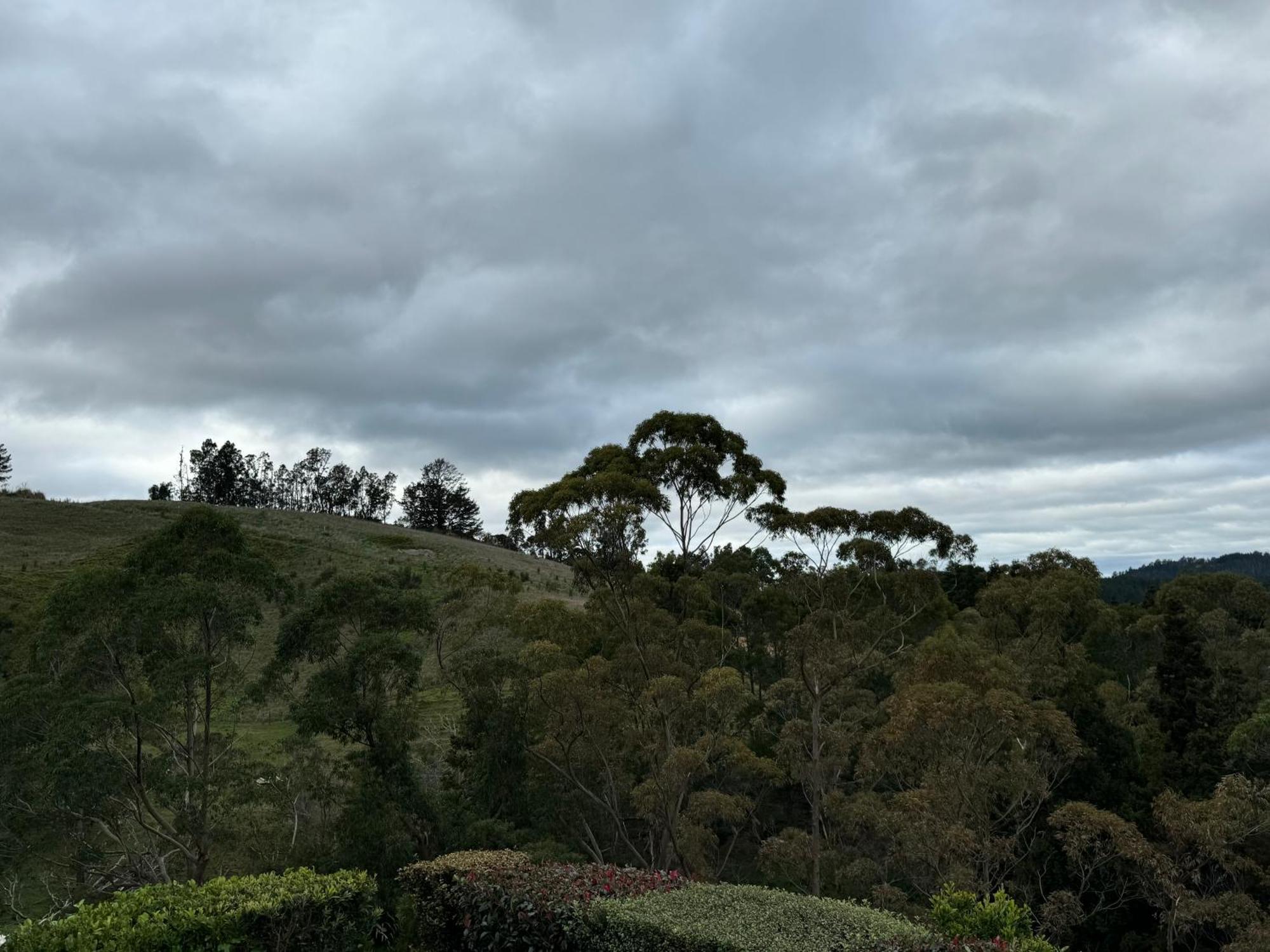 Private Cabin Close To The City Centre Whangarei Bagian luar foto