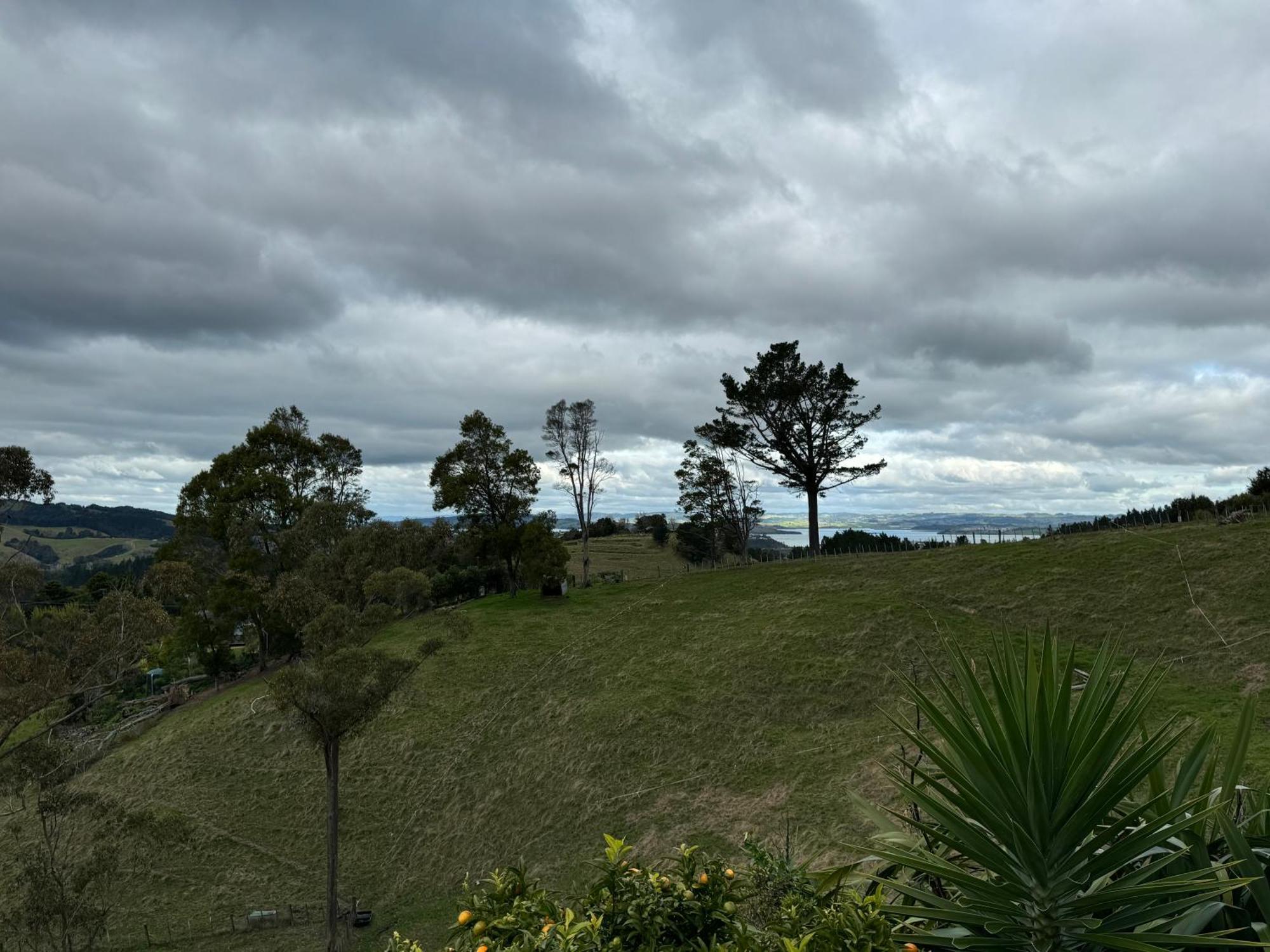 Private Cabin Close To The City Centre Whangarei Bagian luar foto