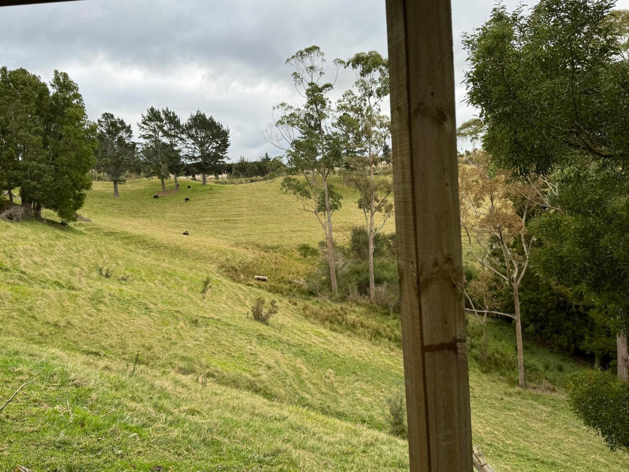 Private Cabin Close To The City Centre Whangarei Bagian luar foto