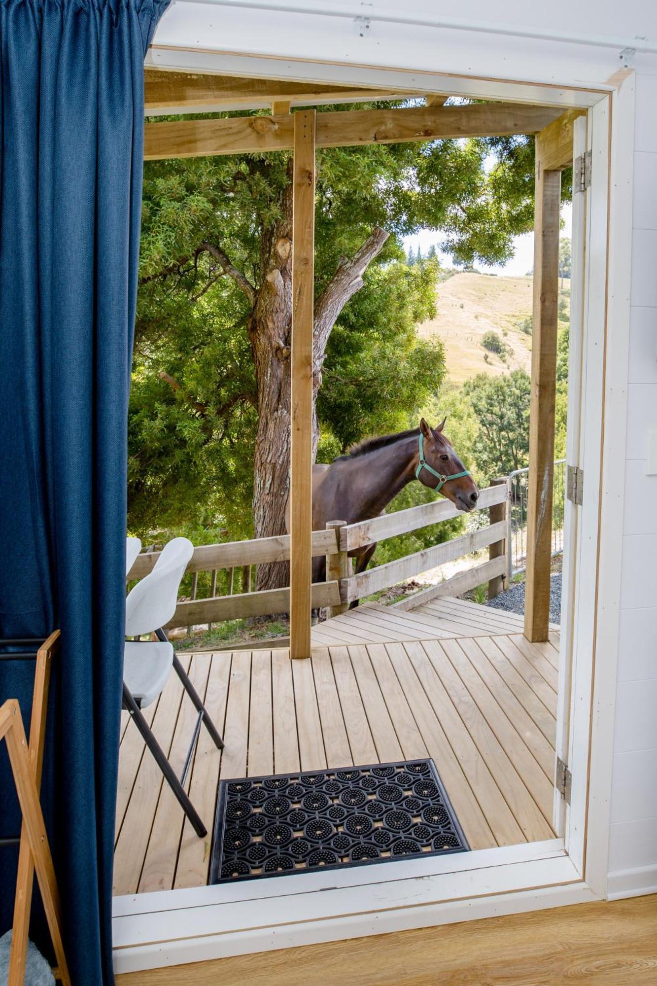 Private Cabin Close To The City Centre Whangarei Bagian luar foto