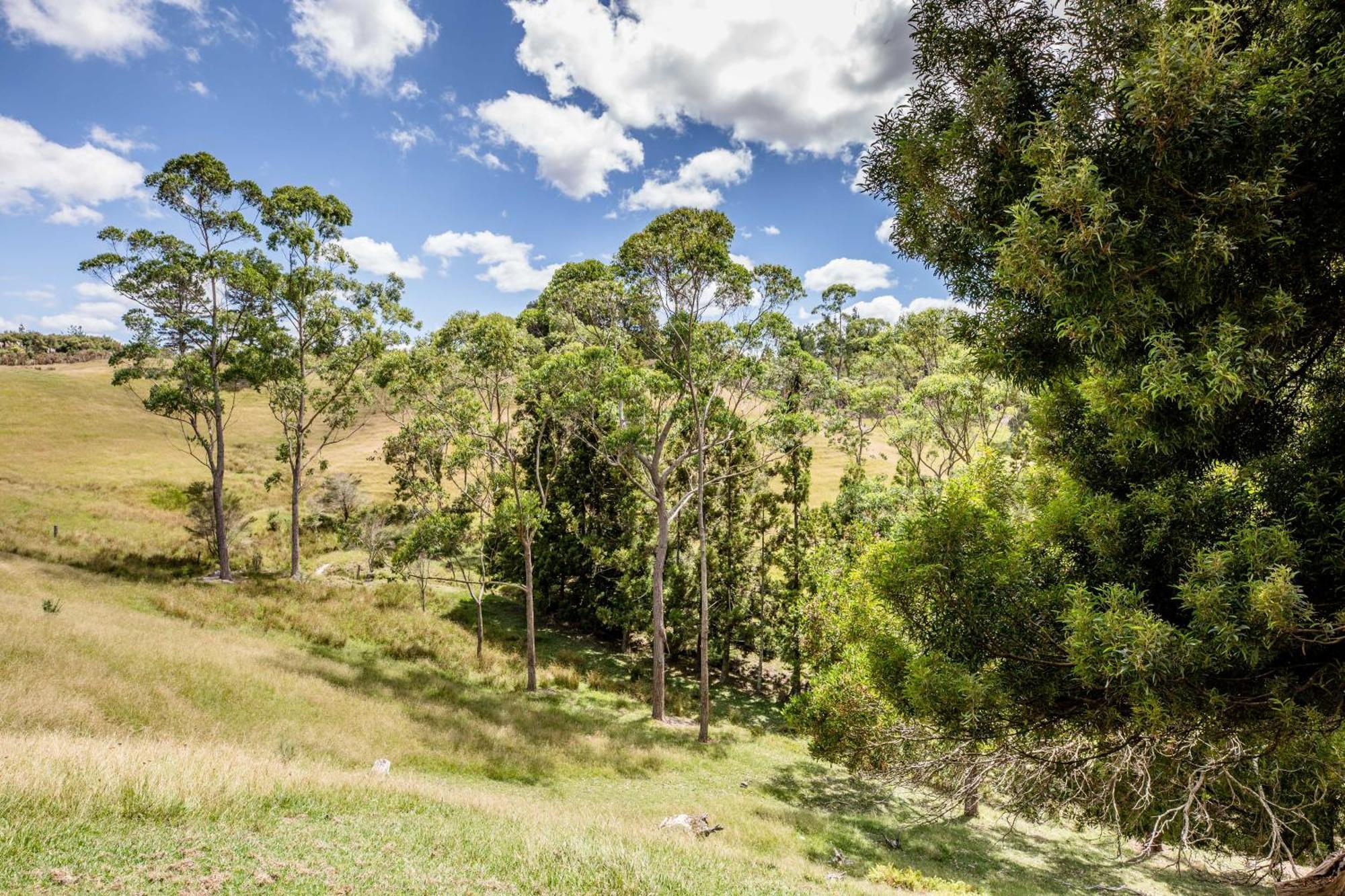 Private Cabin Close To The City Centre Whangarei Bagian luar foto